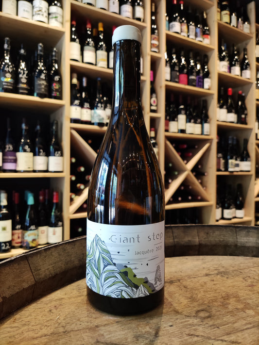 Savoie "Giant Step" 2021 Ludovic Archer